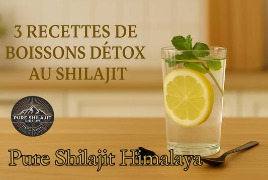 3 recettes de boissons détox au Shilajit