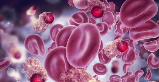 Le Shilajit et le cancer de la vessie - Etude scientifique