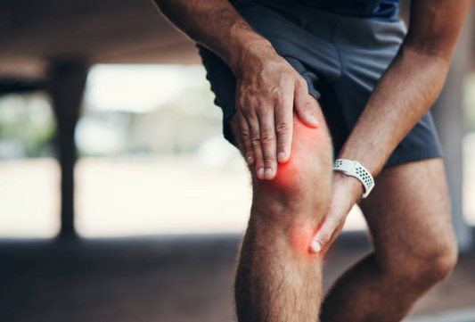 Shilajit et douleur inflammatoire