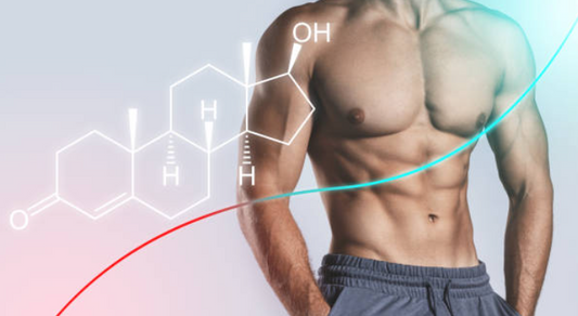 Évaluation clinique de l'effet du Shilajit sur les niveaux de testostérone