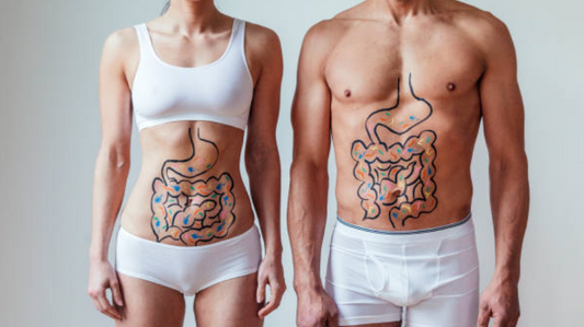 Le Shilajit et la santé digestive : Un allié pour le microbiote