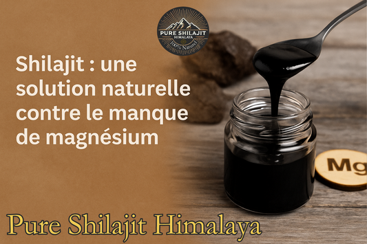 Carence en magnésium : le rôle clé du Shilajit