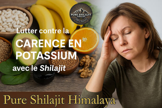 Shilajit et potassium : un soutien naturel efficace