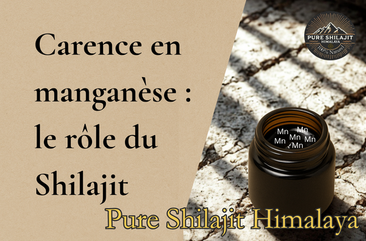 Carence en manganèse : le rôle du Shilajit