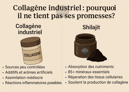 Collagène industriel : pourquoi il ne tient pas ses promesses ?