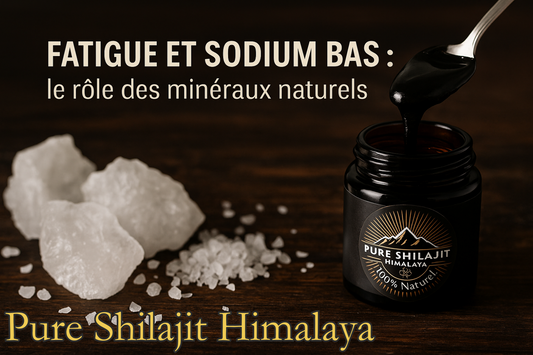 Fatigue et sodium bas : le rôle des minéraux naturels