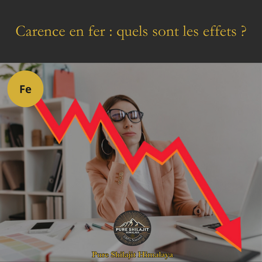 Shilajit : soutien minéral contre la carence en fer