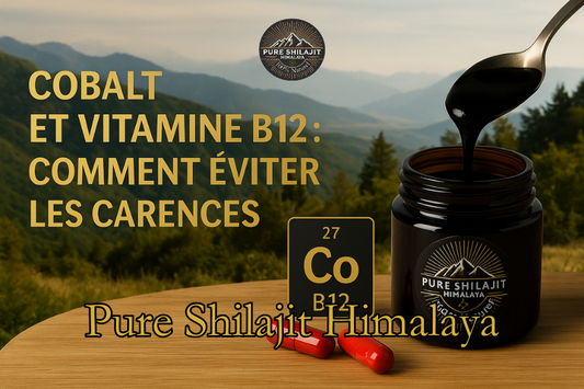 Cobalt et vitamine B12 : comment éviter les carences