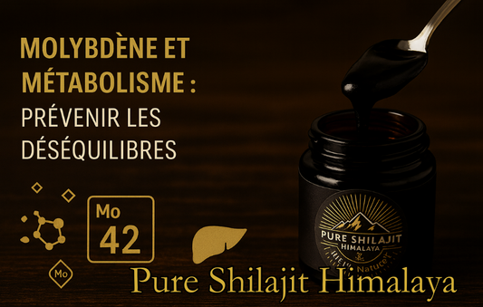 Molybdène et métabolisme : prévenir les déséquilibres