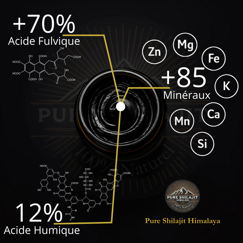 Résine pure de Shilajit naturel 30g