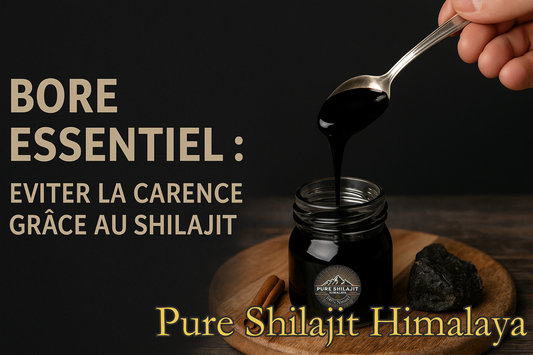 Bore essentiel : éviter la carence grâce au Shilajit