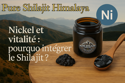 Nickel et vitalité : pourquoi intégrer le Shilajit ?