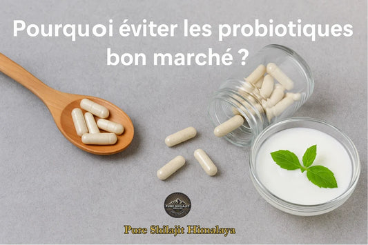 Pourquoi éviter les probiotiques bon marché ?