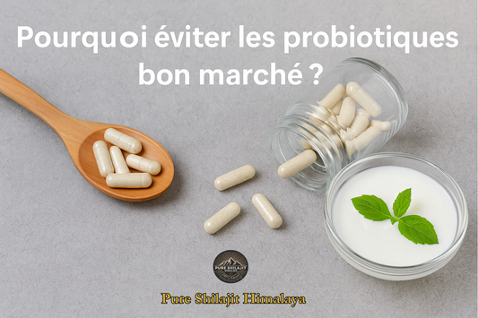 Probiotiques bon marché : sont-ils vraiment efficaces ? Et si le Shilajit était une meilleure alternative naturelle ?
