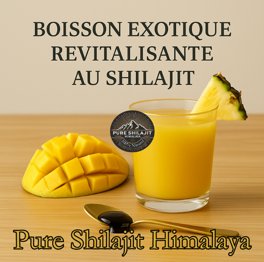 Boisson exotique revitalisante au Shilajit