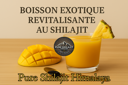Boisson exotique revitalisante au Shilajit