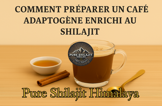 Comment préparer un café adaptogène enrichi au Shilajit