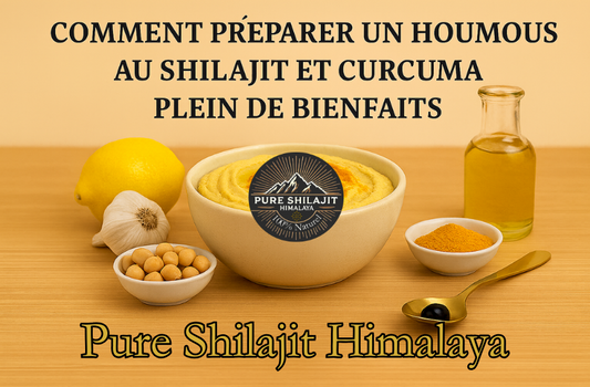 Comment préparer un houmous au Shilajit et curcuma plein de bienfaits