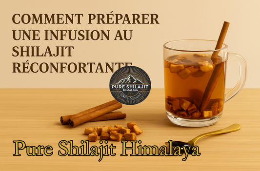 Comment préparer une infusion au Shilajit réconfortante