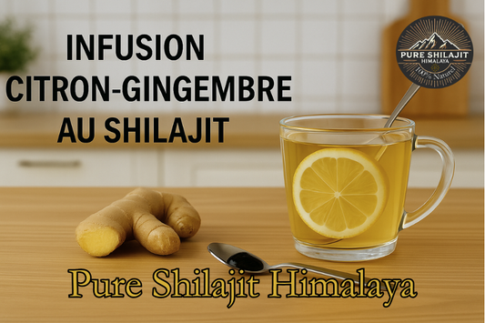 Comment préparer une infusion citron-gingembre au Shilajit