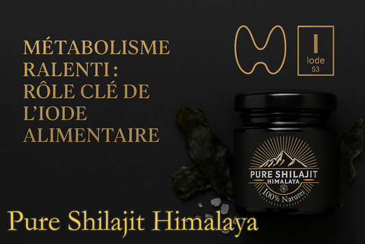 Métabolisme ralenti : rôle de l’iode et solutions naturelles comme le Shilajit