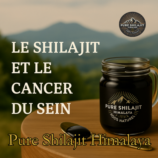 Shilajit et cancer : focus sur le cancer du sein