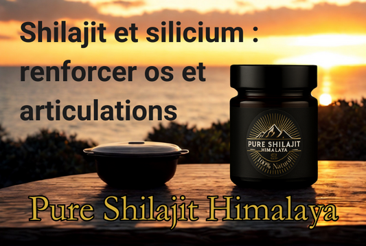 Shilajit et silicium : renforcer os et articulations