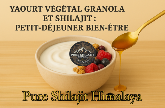 Yaourt végétal granola et Shilajit : petit-déjeuner bien-être
