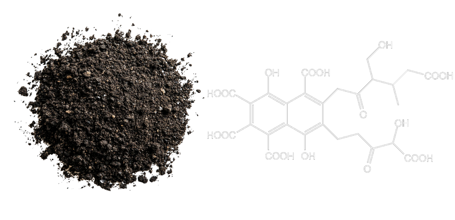 Composant principal du Shilajit
