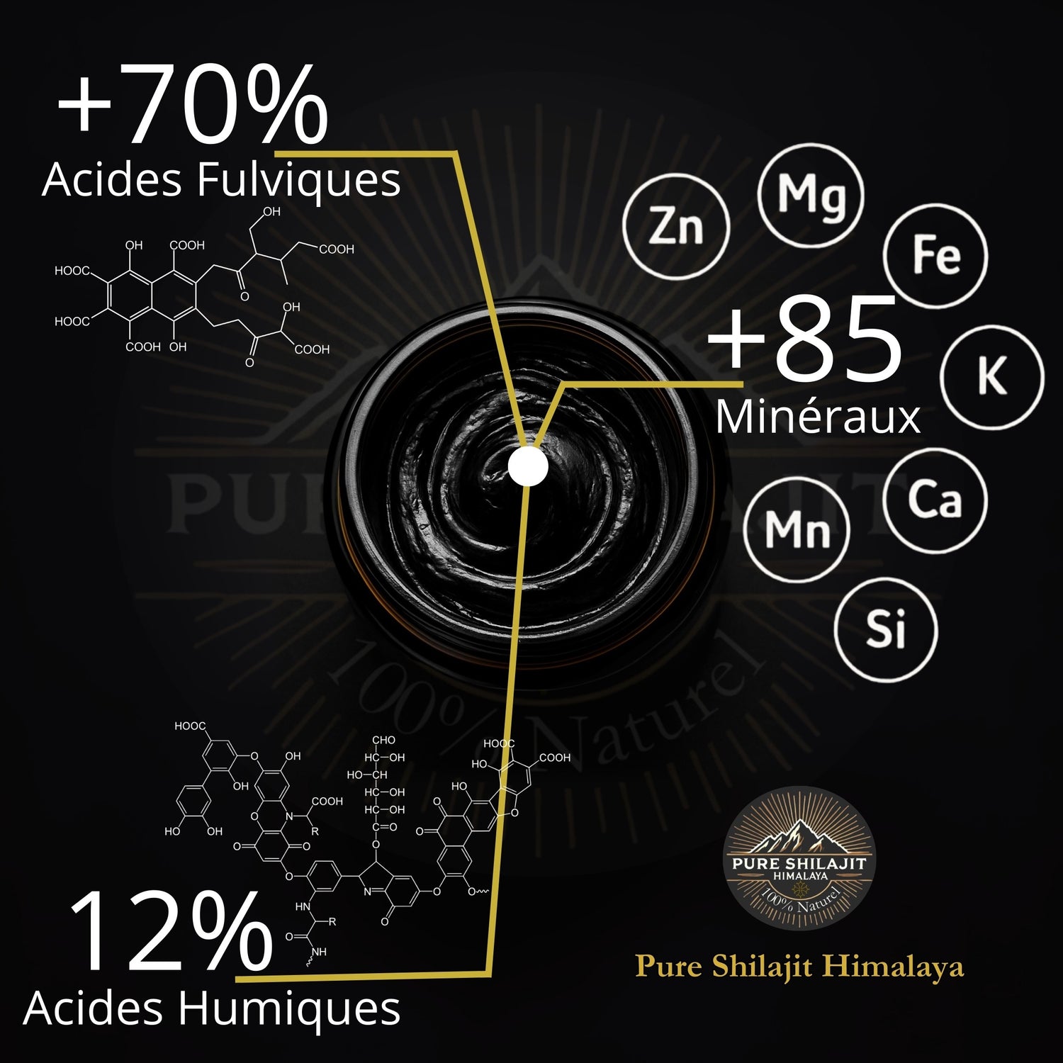 Composition du Shilajit naturel d'Himalaya