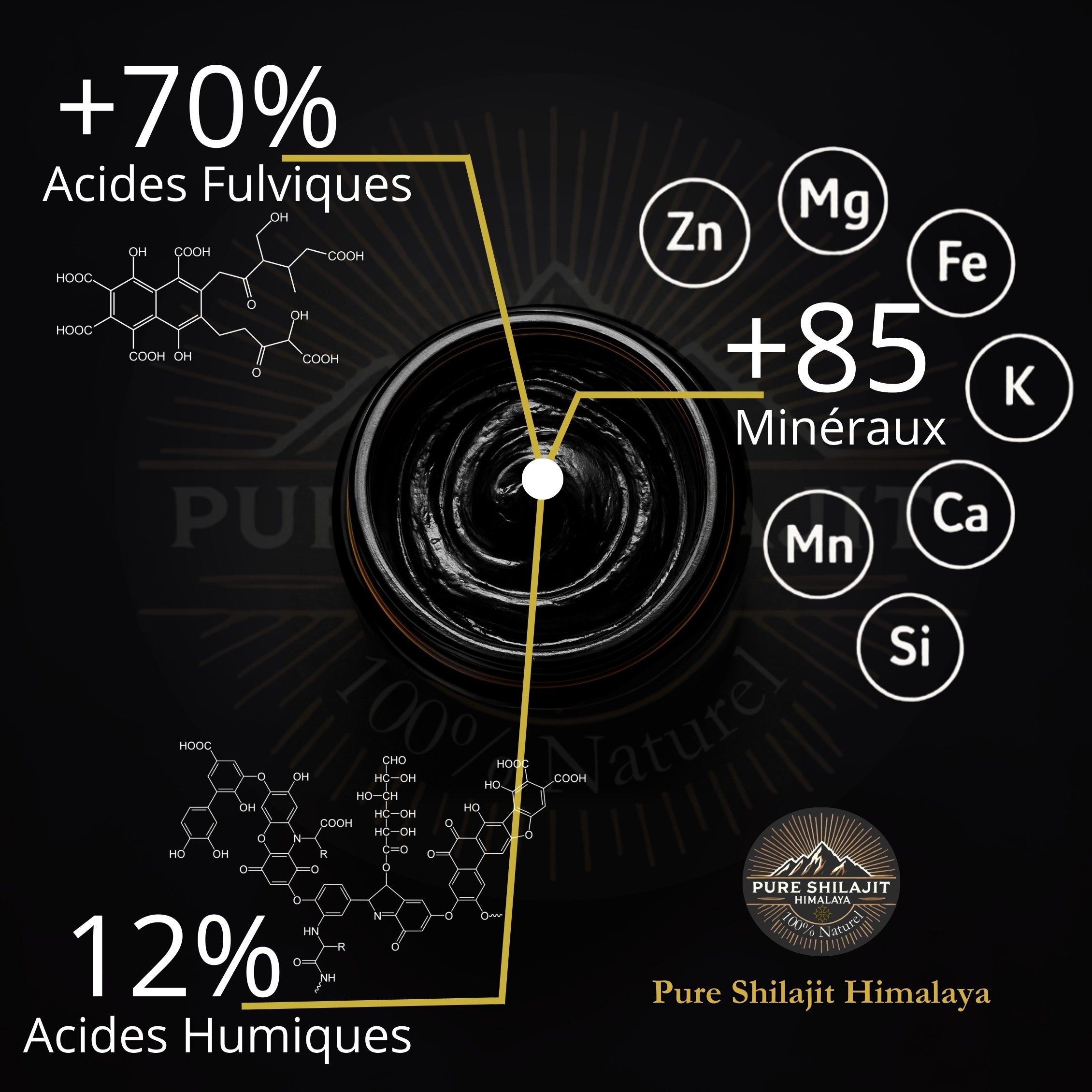 Composition du Shilajit naturel d'Himalaya