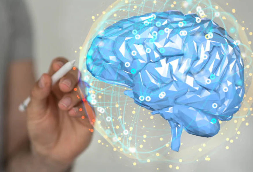 Cerveau, cognition et système nerveux
