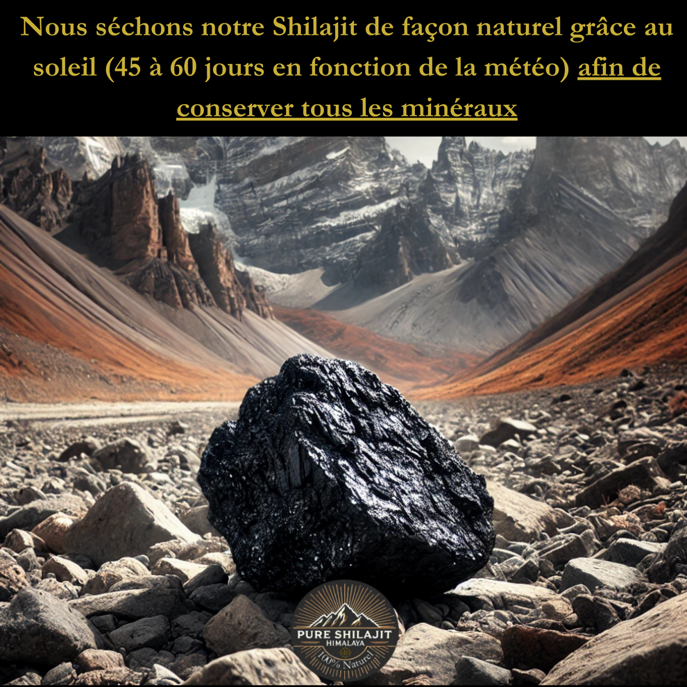 Shilajit Résine Pure 50g - Superaliment Himalayen - Riche En Acide Fulvique
