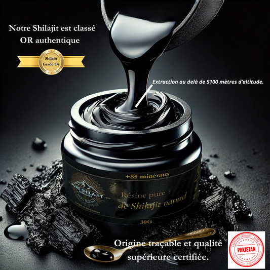 Pot de 30 grammes de résine de Shilajit naturel